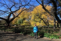 2015-12-012906.JPG