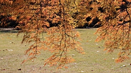 2015-12-012908.JPG