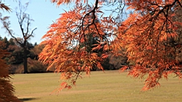 2015-12-012909.JPG