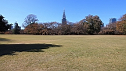 2015-12-012913.JPG