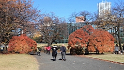 2015-12-012914.JPG