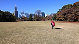 2015-12-012918.JPG