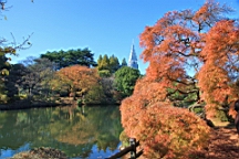 2015-12-012929.JPG