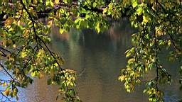2015-12-012936.JPG