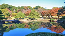 2015-12-012972.JPG