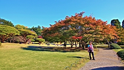 2015-12-012984.JPG