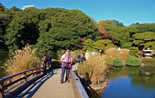 2015-12-012998.JPG