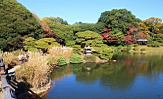 2015-12-012999.JPG