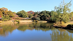 2015-12-013001.JPG