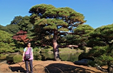 2015-12-013002.JPG