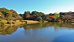 2015-12-013003.JPG