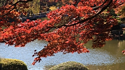 2015-12-013004.JPG