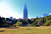 2015-12-013006.JPG