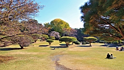 2015-12-013009.JPG