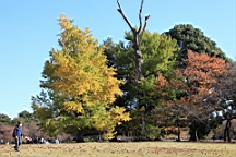 2015-12-013011.JPG
