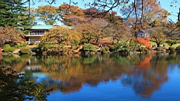 2015-12-013013.JPG