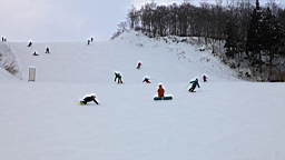 2016-01-28--00227.JPG