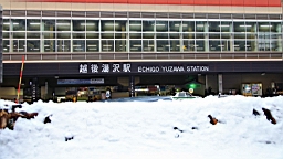 2016-01-28--00320.JPG