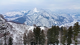 20160128_120842.jpg