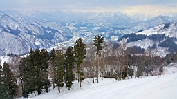 20160128_120854.jpg