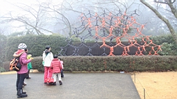 2016-01-30--00498.JPG