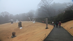 2016-01-30--00500.JPG