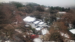 2016-01-30--00529.JPG