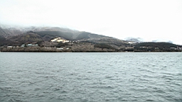 2016-01-30--00584.JPG