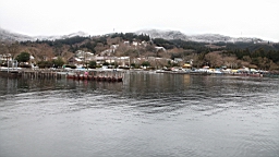 2016-01-30--00590.JPG