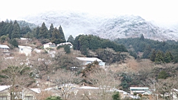 2016-01-30--00596.JPG