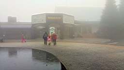 20160130_094852.jpg