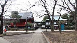 2016-02-01--00793.JPG
