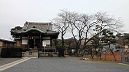 2016-02-01--00807.JPG