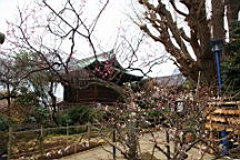 2016-02-01--00810.JPG