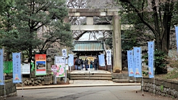 2016-02-01--00826.JPG