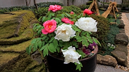 2016-02-01--00827.JPG