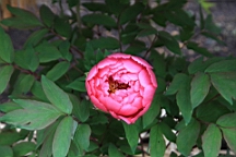 2016-02-01--00846.JPG