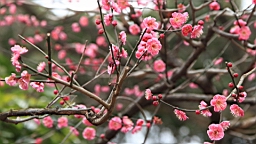 2016-02-01--00902.JPG