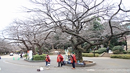 2016-02-01--00915.JPG