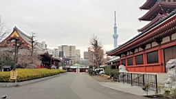 20160201_090847.jpg