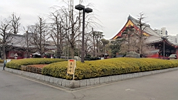 20160201_090913.jpg