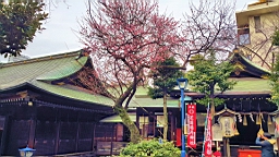 20160201_105126.jpg