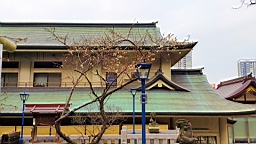 20160201_105216.jpg