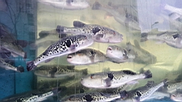 20160201_130147.jpg