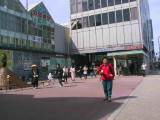 115-1539_IMG.JPG