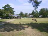 115-1548_IMG.JPG