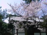 115-1549_IMG.JPG