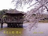 115-1559_IMG.JPG
