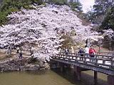 115-1568_IMG.JPG