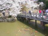 115-1569_IMG.JPG